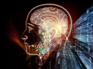 Train Your Brain, Rewire Your Brain